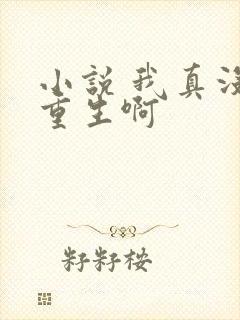 小说 我真没想重生啊