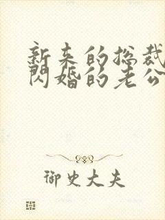 新来的总裁竟是闪婚的老公小说
