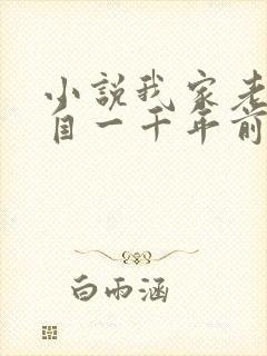 小说我家老婆来自一千年前完整版
