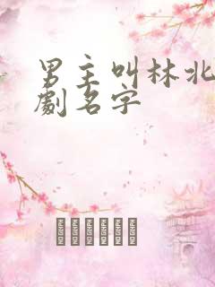 男主叫林北的短剧名字
