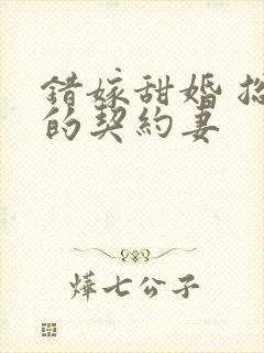 错嫁甜婚 总裁的契约妻