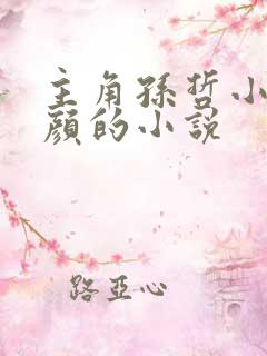 主角孙哲小妈朱颜的小说