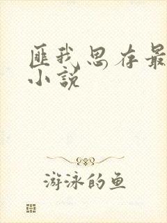 匪我思存最经典小说