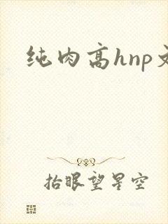 纯肉高hnp文