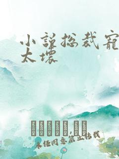 小说总裁宠妻别太坏