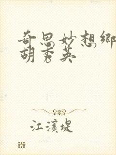奇思妙想乡村情胡秀英