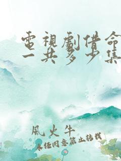 电视剧借命而生一共多少集