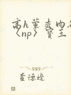 高h荤爽肉欲文〈np〉宝玉