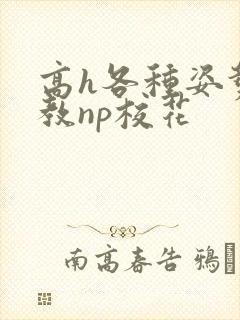 高h各种姿势调教np校花