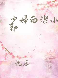 少妇白洁小说章节
