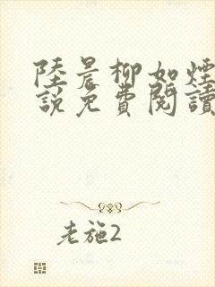 陆晨柳如烟的小说免费阅读无弹窗