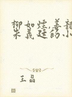 柳如烟,姜龙,朱义廷的小说