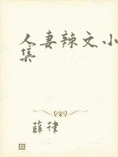 人妻辣文小说合集