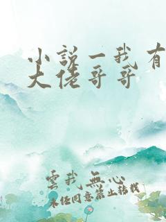 小说一我有七个大佬哥哥