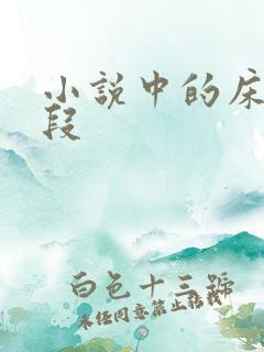 小说中的床戏片段