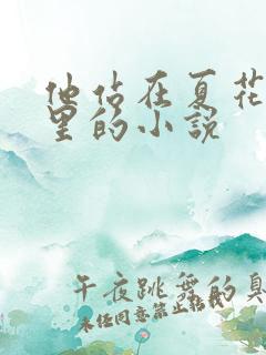 他站在夏花绚烂里的小说