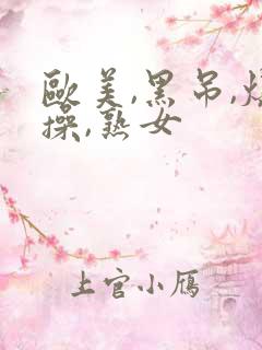 欧美,黑吊,爆操,熟女