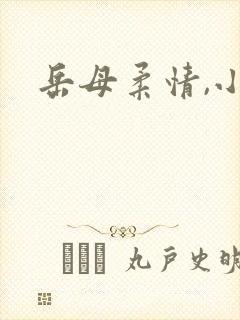 岳母柔情,小说