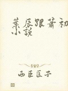 叶辰跟萧初然的小说