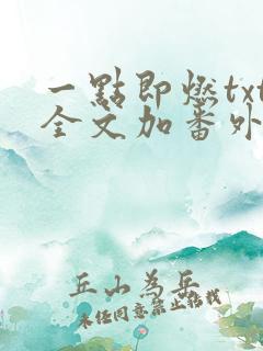 一点即燃txt全文加番外
