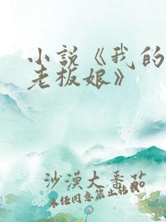 小说《我的绝色老板娘》