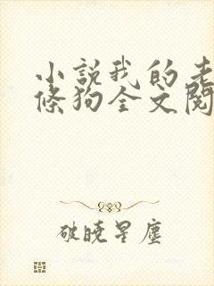 小说我的老公是条狗全文阅读免费