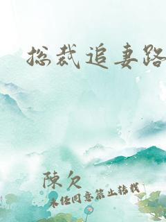 总裁追妻路漫漫