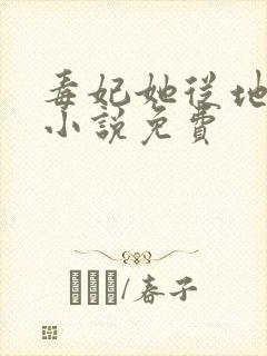 毒妃她从地狱来小说免费