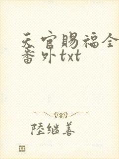 天官赐福全文加番外txt