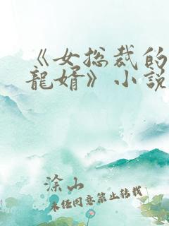 《女总裁的上门龙婿》小说