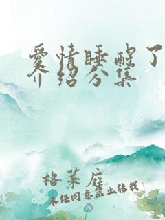 爱情睡醒了剧情介绍分集