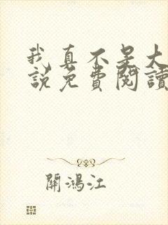 我真不是大佬小说免费阅读