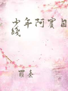 少年阿宾目录在线