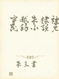 穿越朱棣被贬农民的小说免费阅读