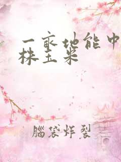 一亩地能中多少株玉米