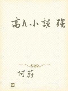 高h小说 强