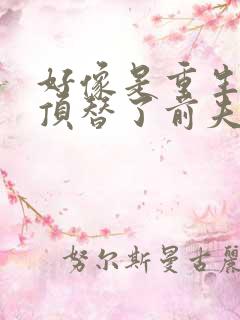 好像是重生后我顶替了前夫白月光