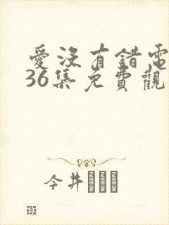 爱没有错电视剧36集免费观看剧情