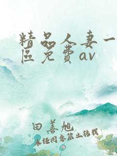 精品人妻一区二区免费av