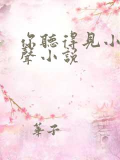 你听得见小说有声小说