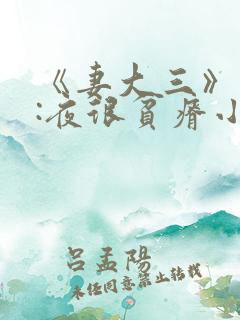 《妻大三》作者:夜很贫瘠小说