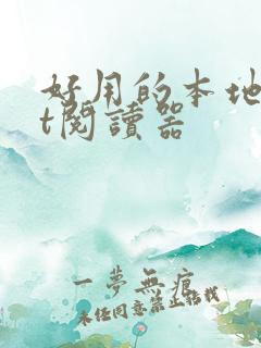 好用的本地txt阅读器