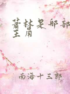 萧林是哪部小说主角