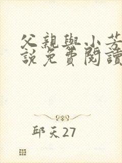 父亲与小芳的小说免费阅读