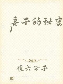 妻子的秘密(3)