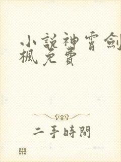 小说神霄剑宗林枫免费