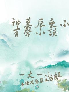 神墓辰东小说听有声小说