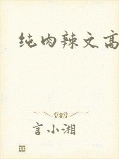 纯肉辣文高h