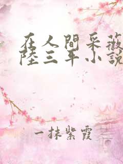 在人间采薇阿铭陆三平小说免费阅读