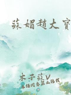 苏媚赵大宝赵勇